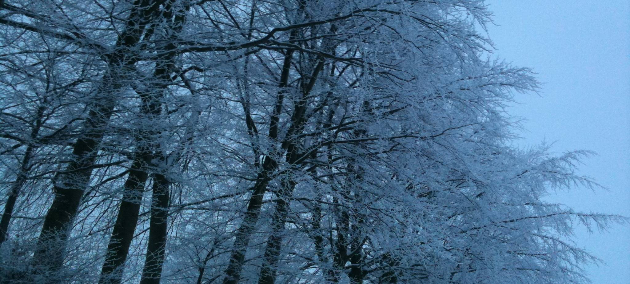 Winterdienst auch in den Flutgebieten gerüstet