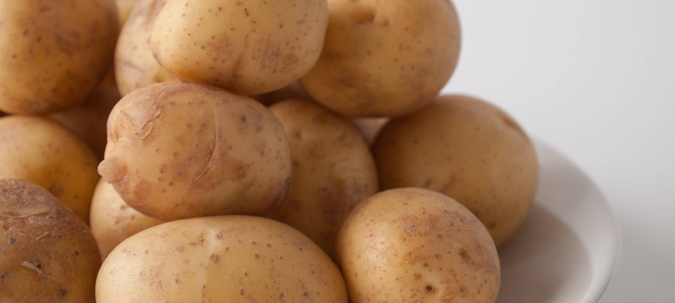 Landwirte im Kreis Euskirchen mit Kartoffel-Krise