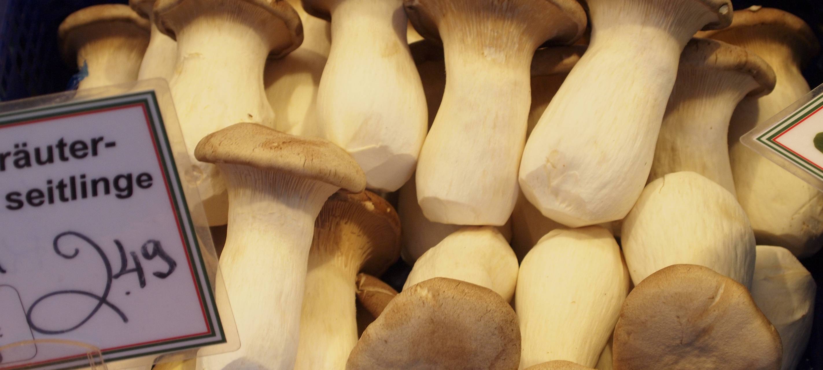 Pilzsaison in der Eifel und im Rheinland startet schleppend