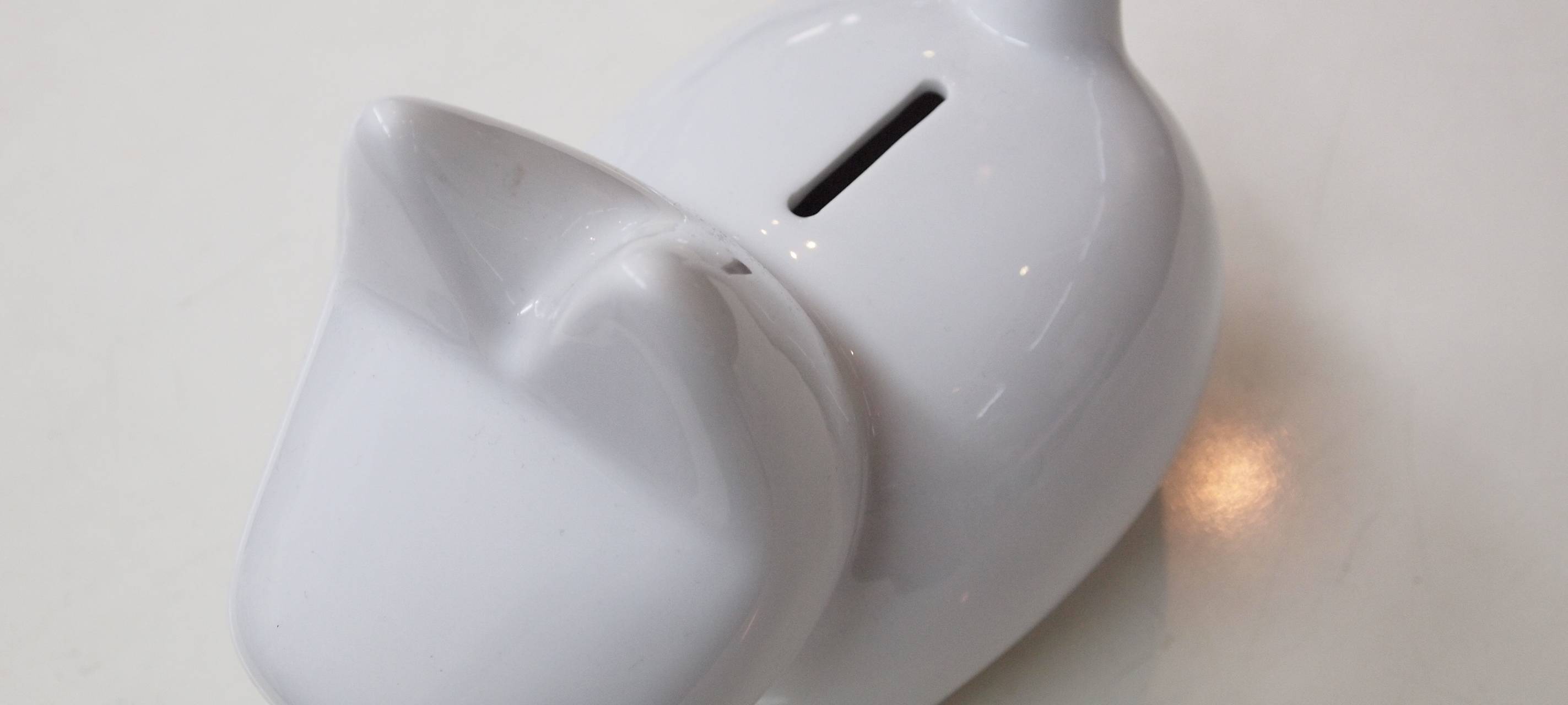 1,5 Millionen Euro durch Hundesteuer im Kreis Euskirchen