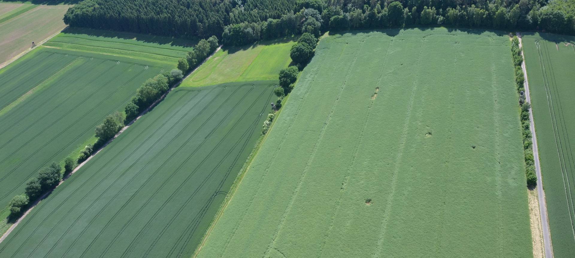 Feldwege in Mechernich werden überprüft