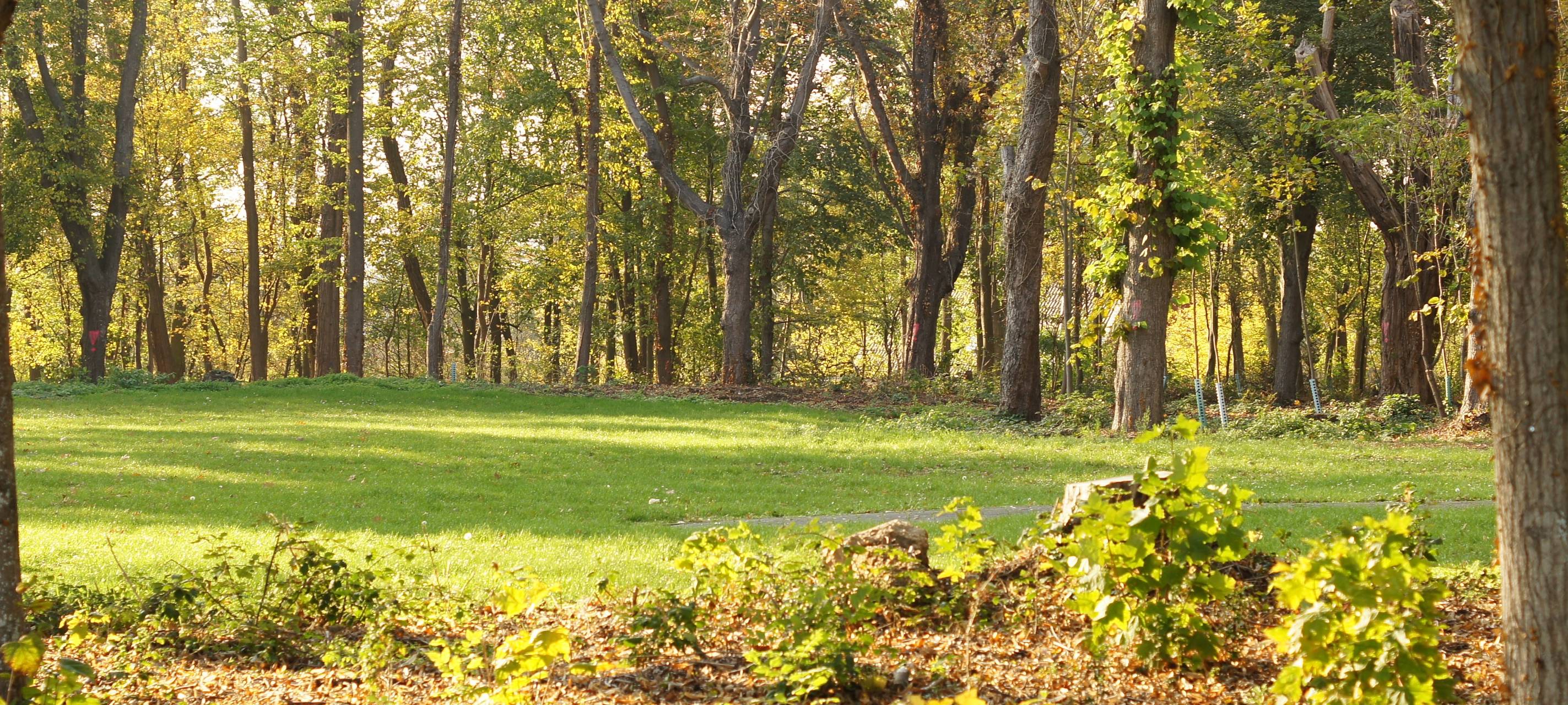 Gute Bedingungen für unseren Wald