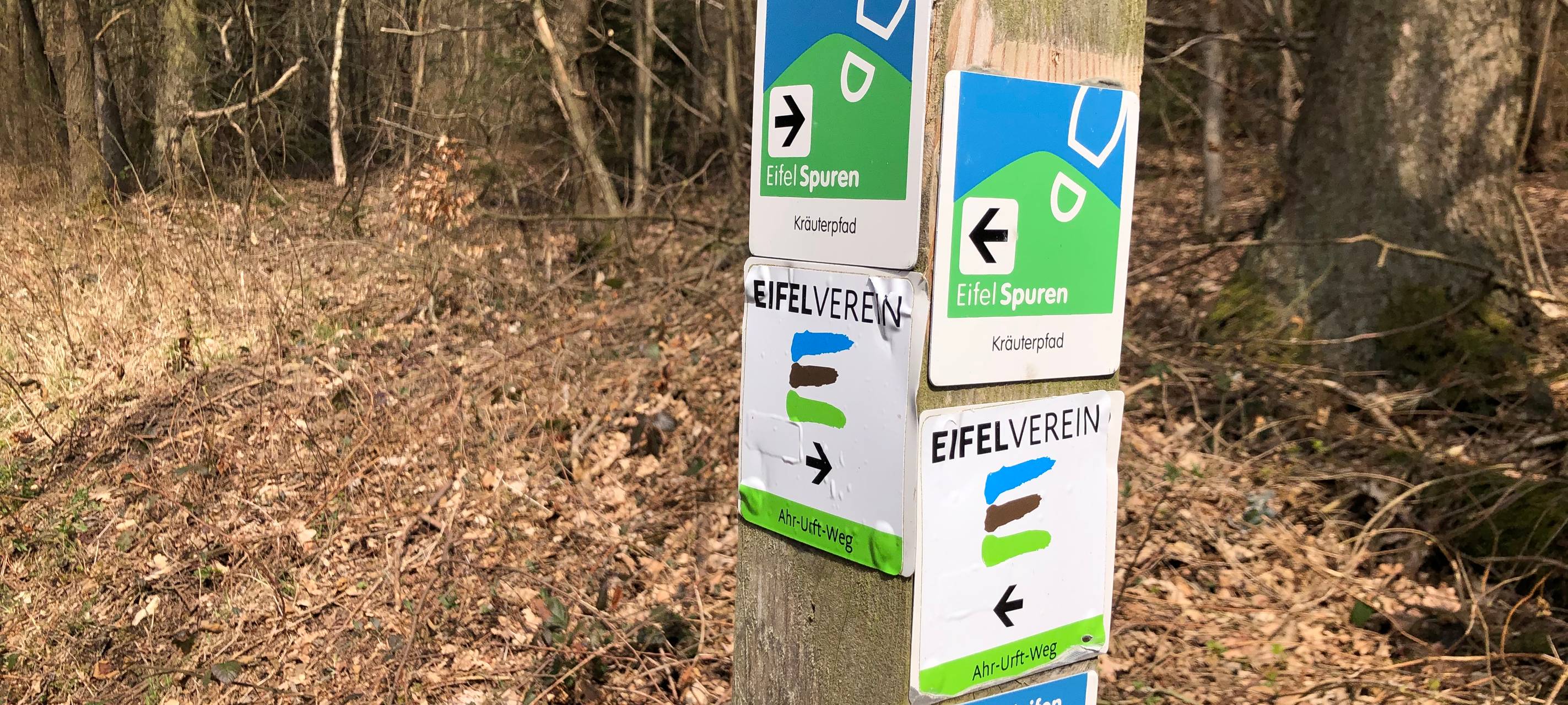 Vorsicht vor Waldbesuchen in den Hochwassergebieten