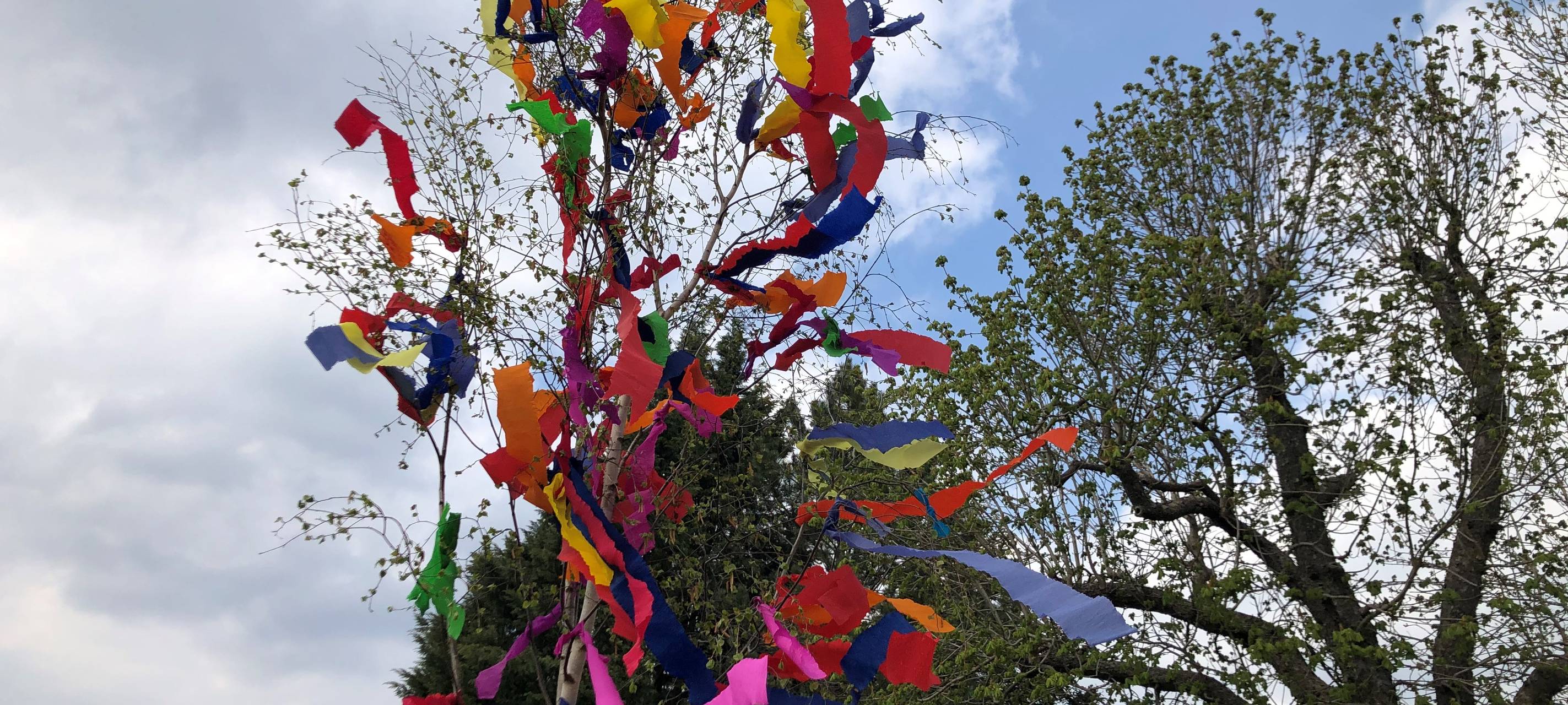 Maibaumverkauf in Euskirchen