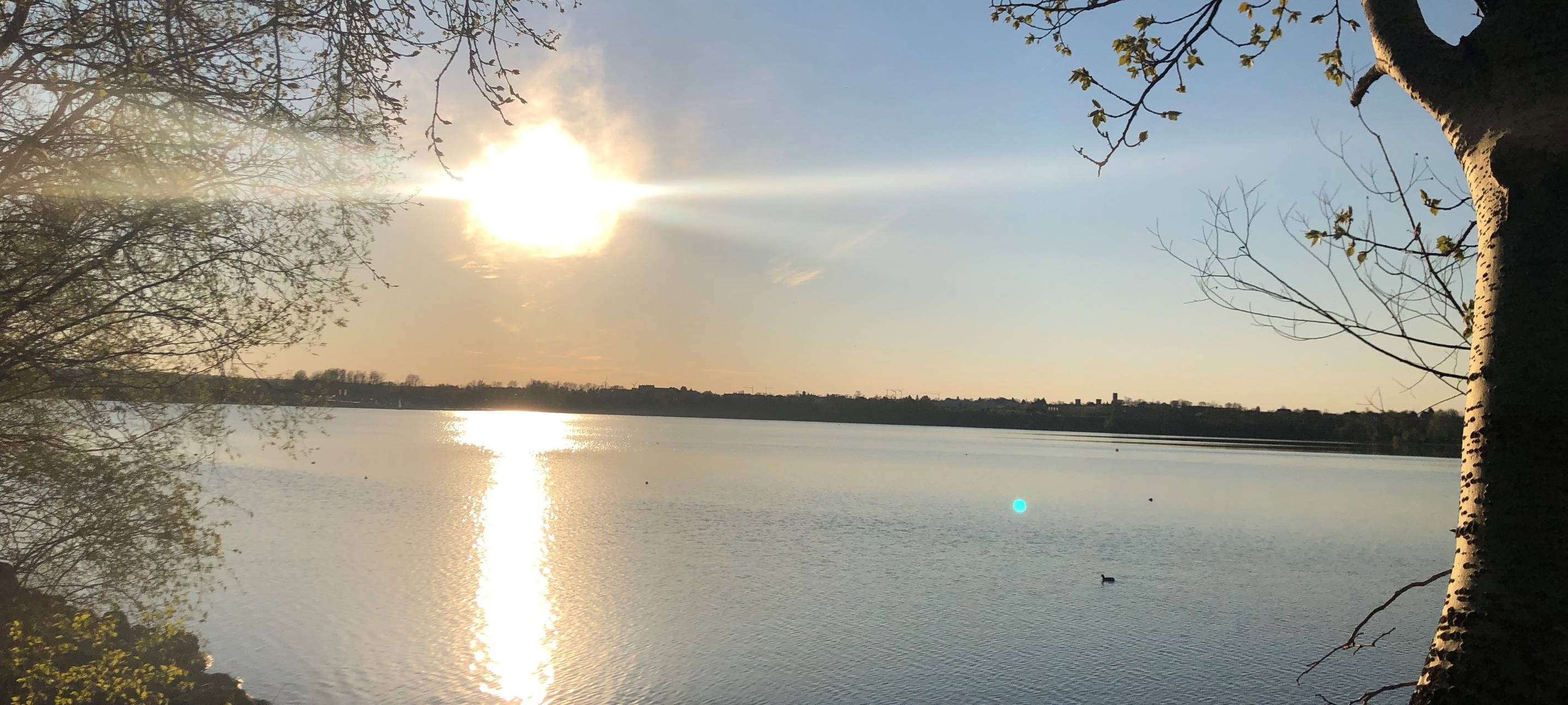 Erweiterungspläne am Zülpicher See