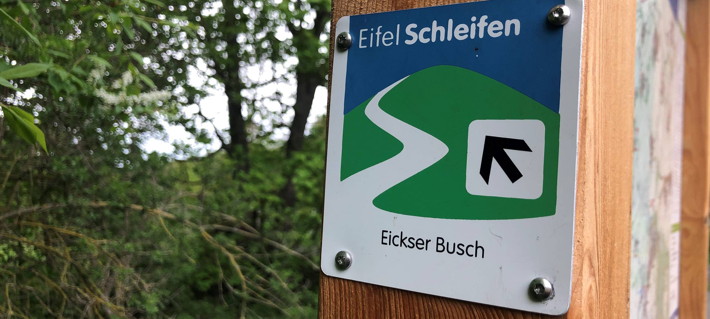 Der Wanderweg des Jahres wird gesucht