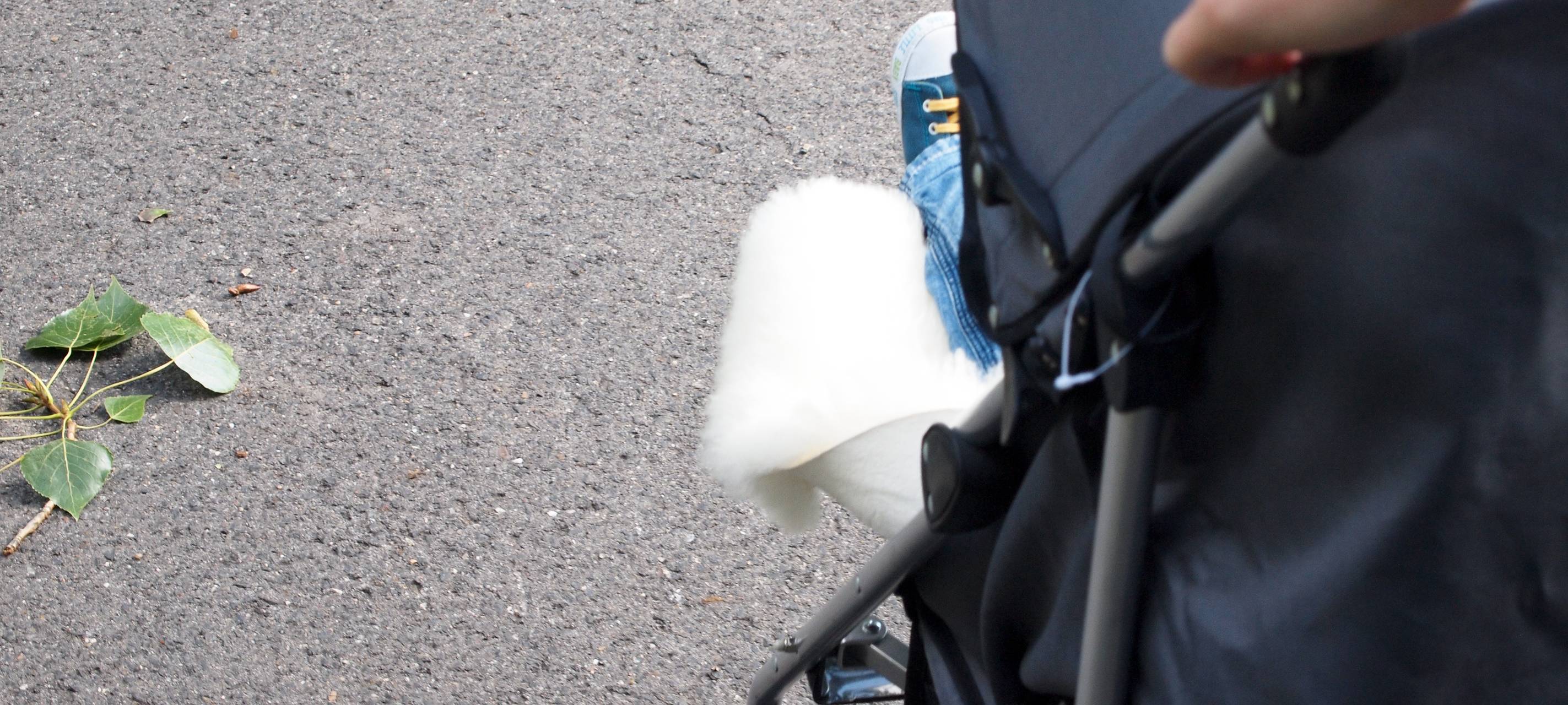 Seif fordert Frühwarnsystem auf Bundesebene