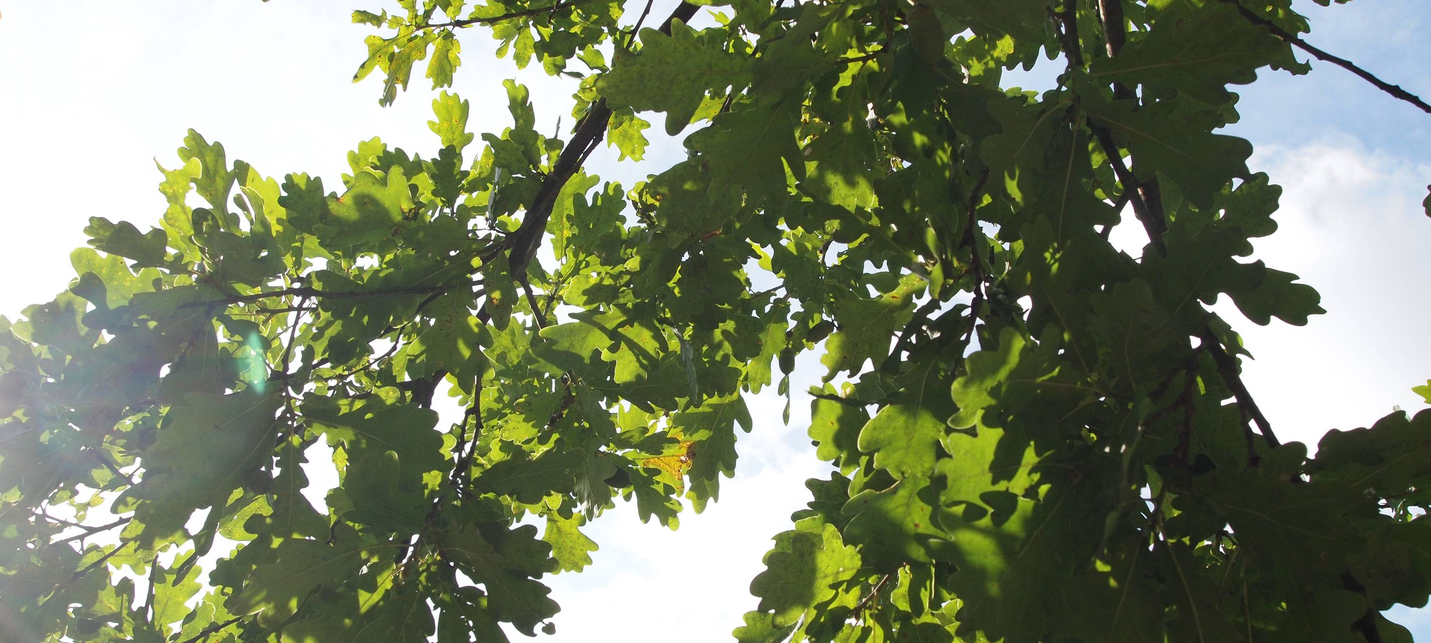 Mehr Engagement für die Umwelt