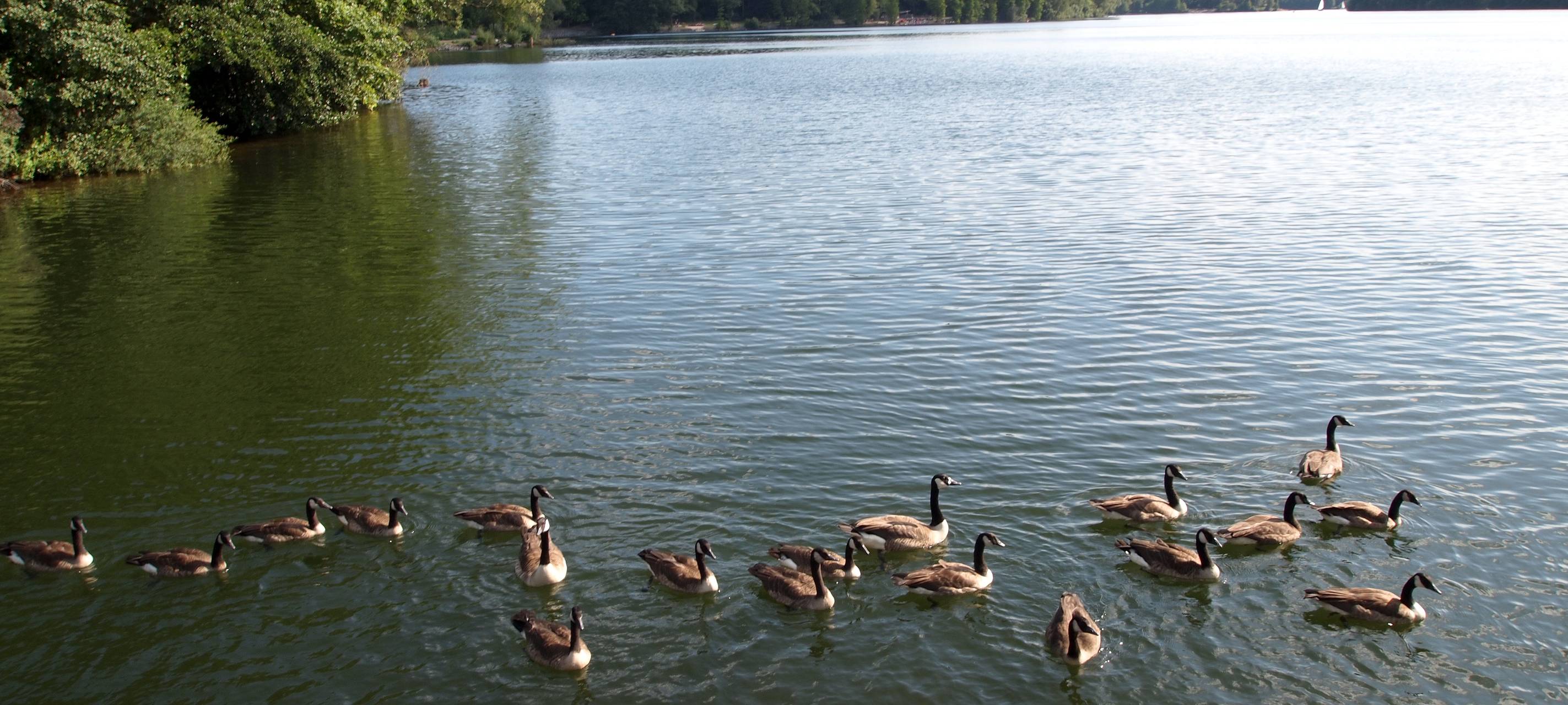Neue Erkenntnisse nach Verbrechen an Urfttalsperre