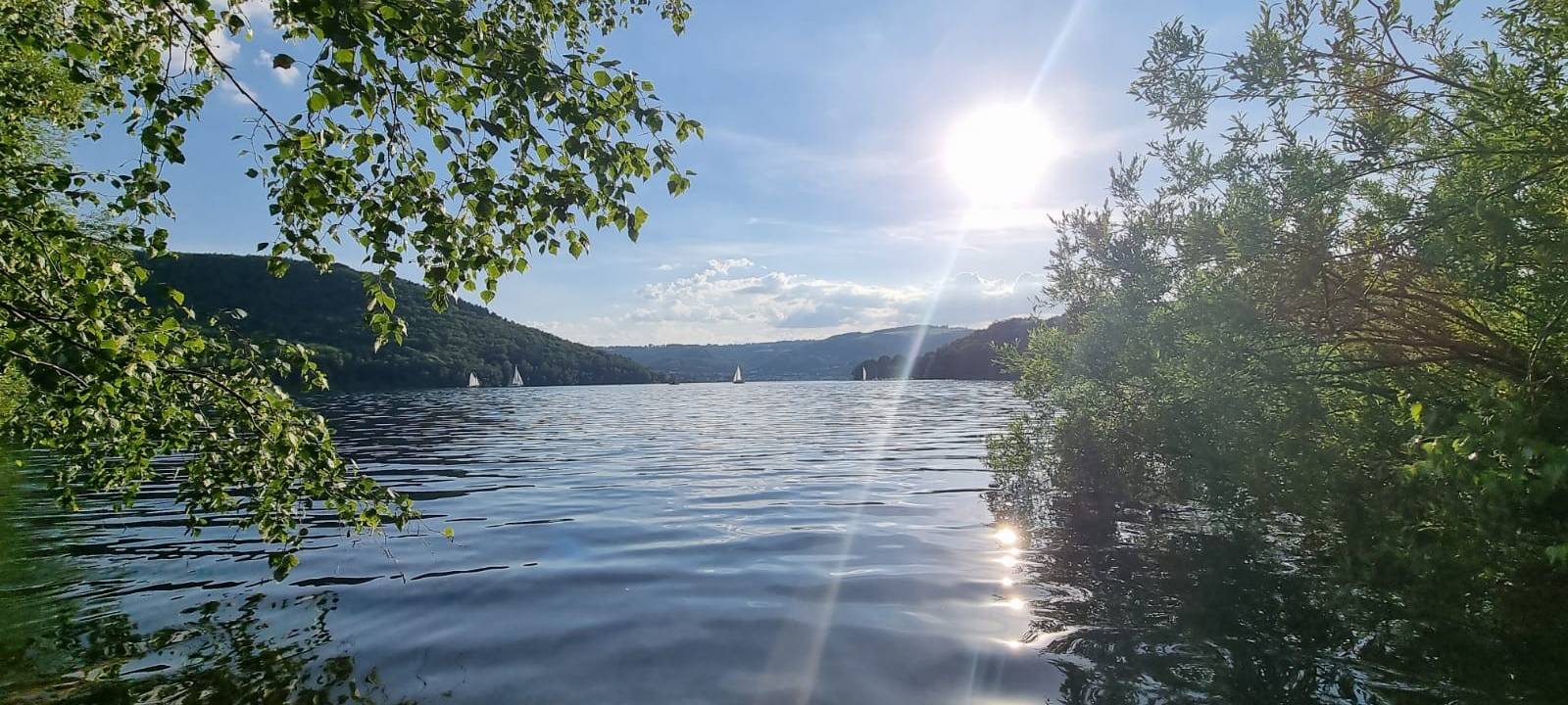 Rheinisches Revier soll klimaangepasster werden