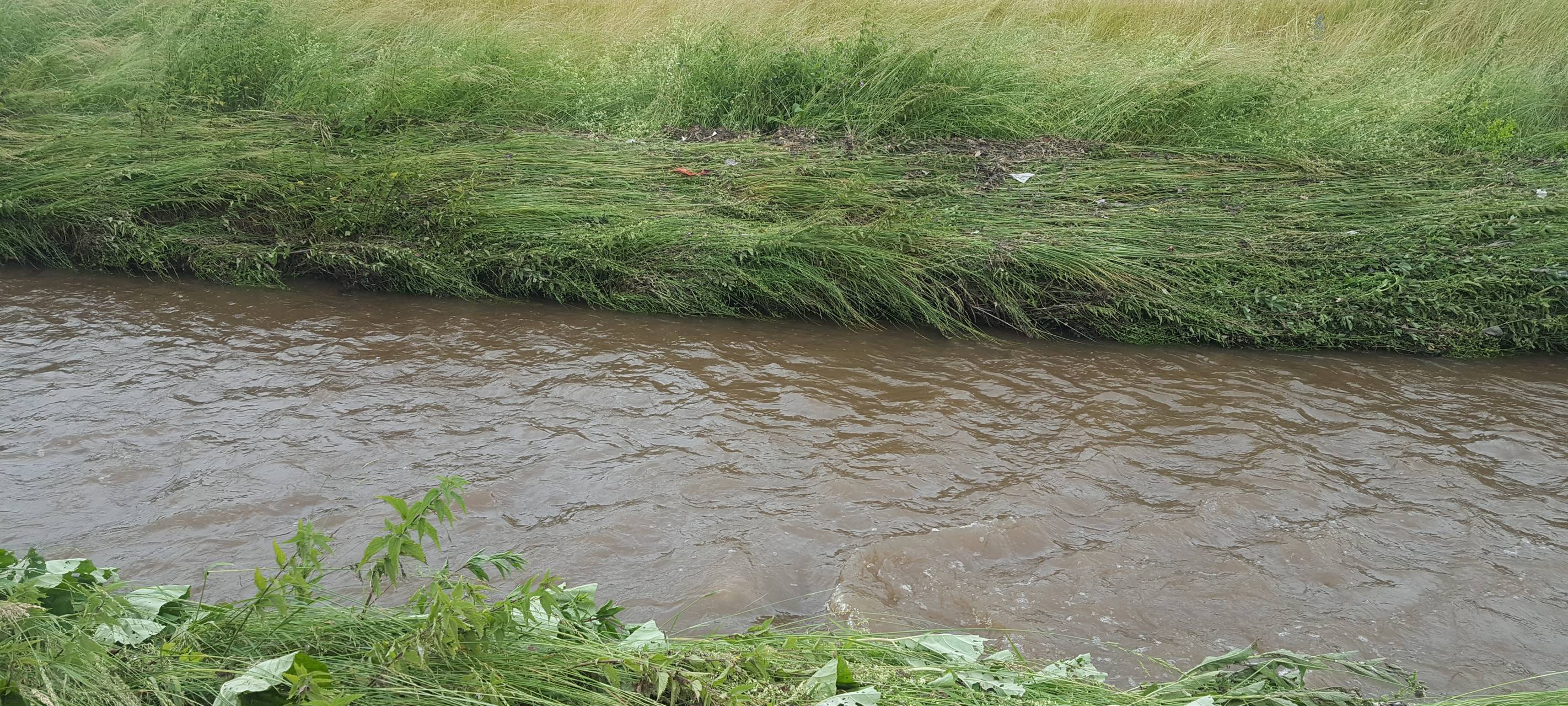 Keine Hochwassersorgen beim Erftverband trotz viel Regen