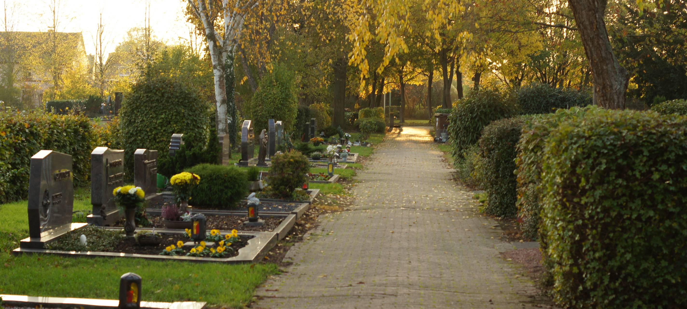Fortschritte bei Friedhofs-Sanierung in Bad Münstereifel