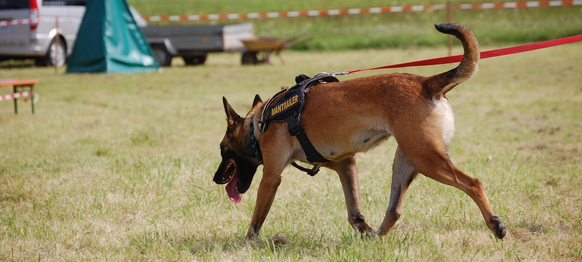 Vermisste Frau in Zülpich tot aufgefunden