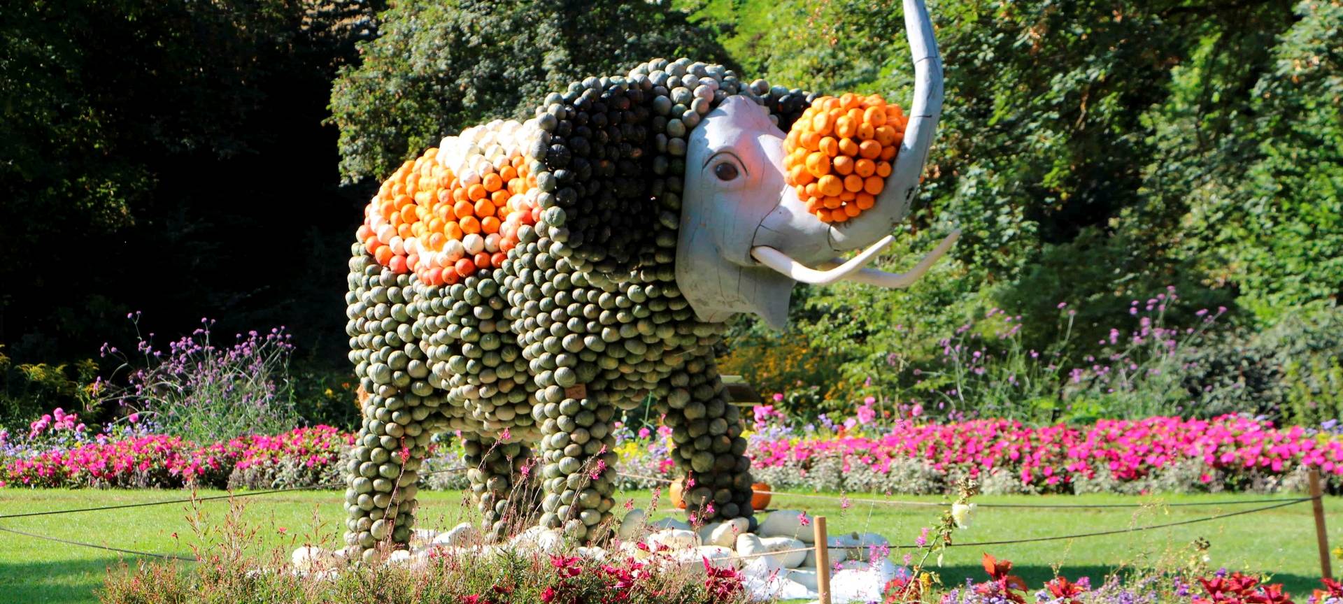 Kürbisschau am Krewelshof