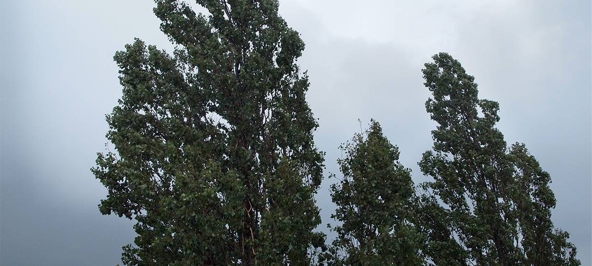 Einige Sturmeinsätze im Kreis Euskirchen