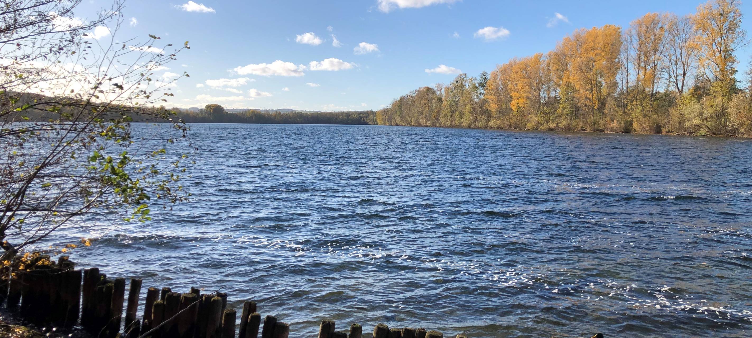 Ordnungsamt kontrolliert verstärkt am Neffelsee