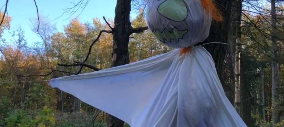 Halloween im Kreis Euskirchen: Betrunkene und ein Fehlalarm