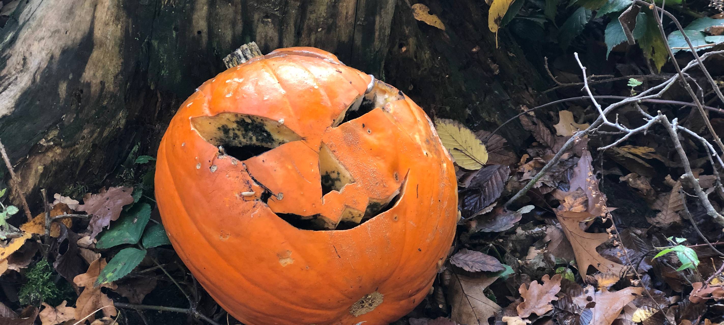 Randale und Böller an Halloween in Euskirchen