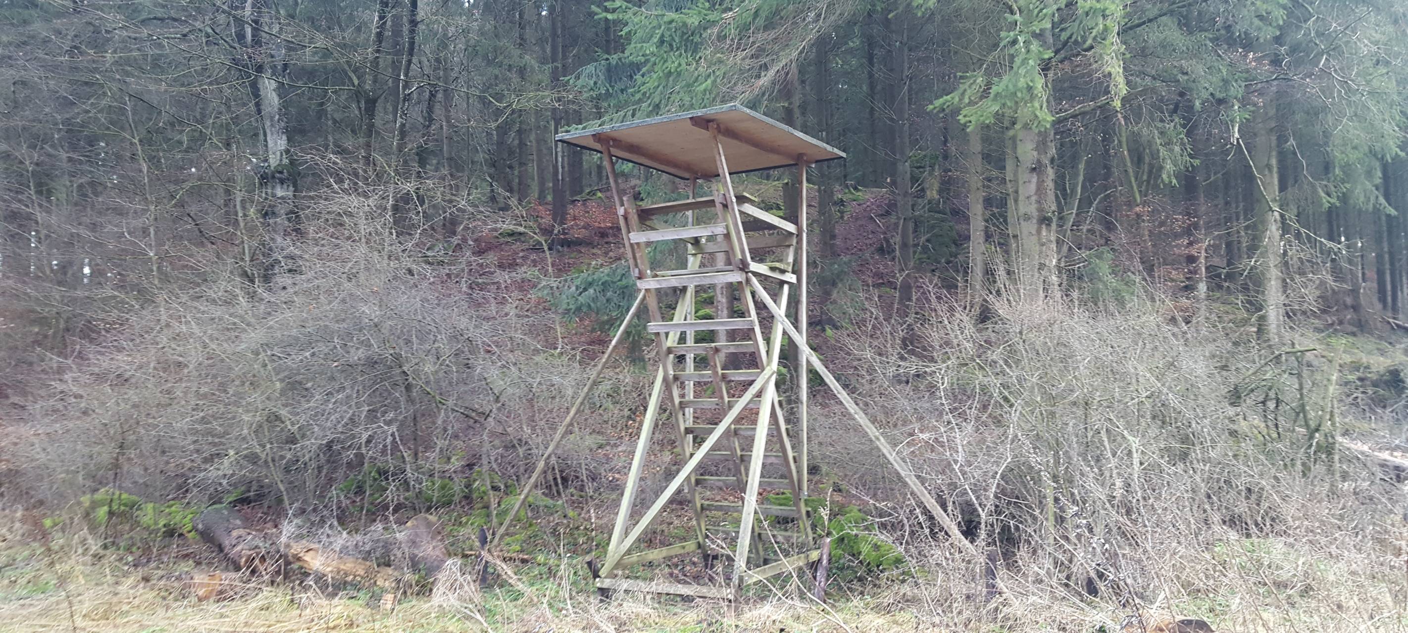 Mehr junge Jäger im Kreis Euskirchen