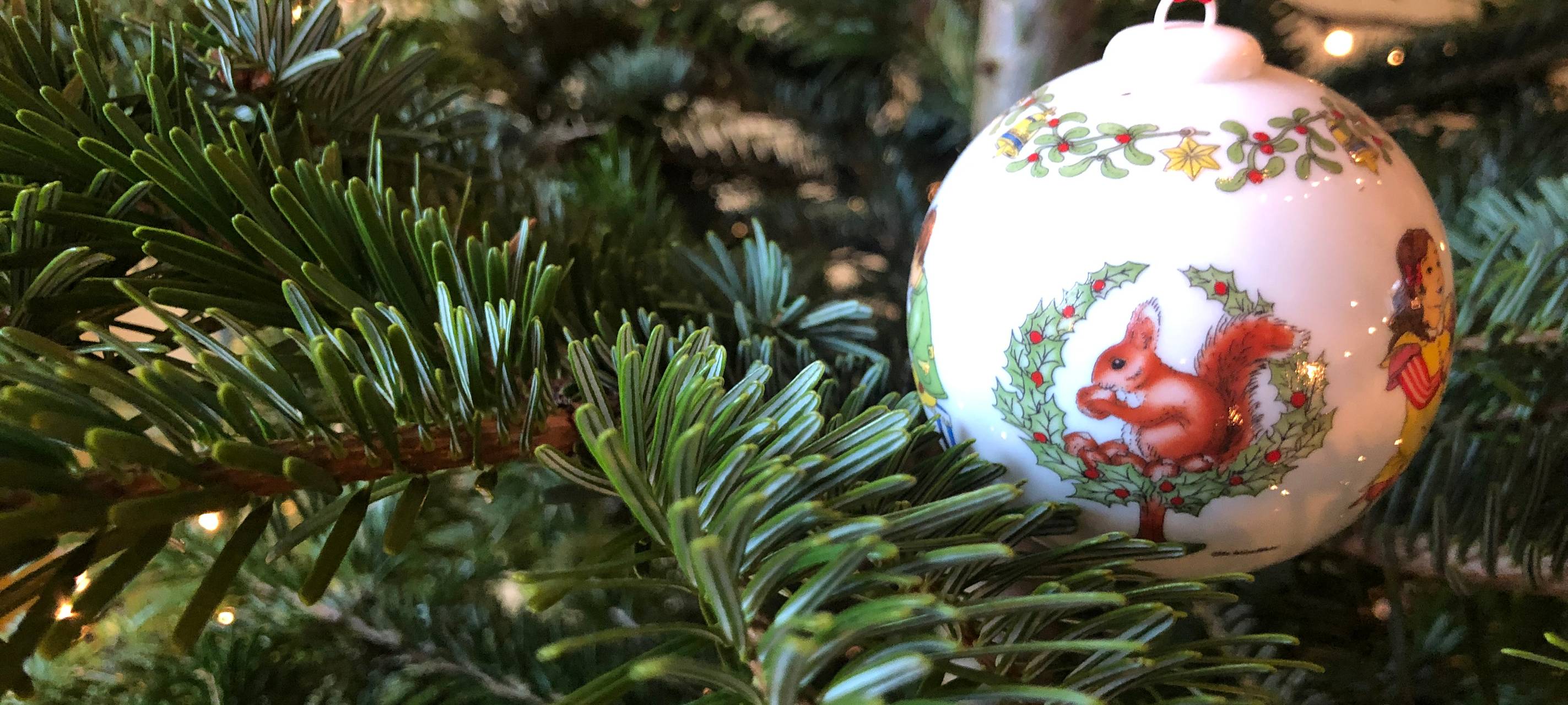 Caritas Eifel sucht Helfer für Weihnachtsbaumverkauf