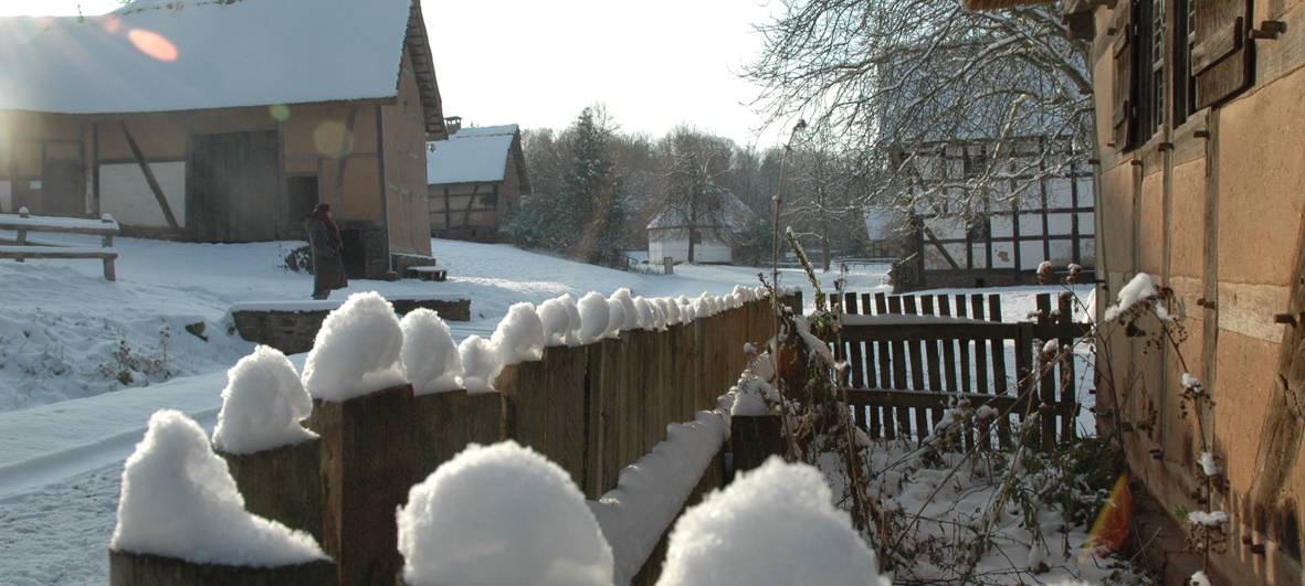 Überlegung: Linienbus zum Freilichtmuseum