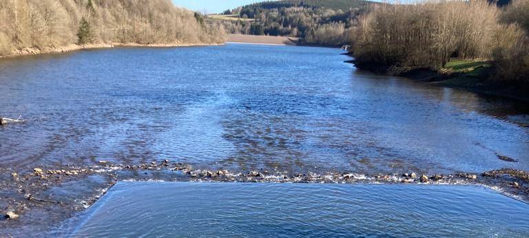 Badeverbot im Kronenburger See auch diesen Sommer