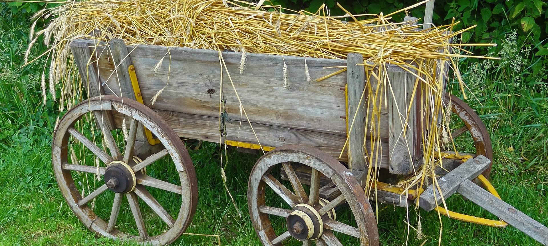 17.-18.09. "Tag nach der Ernte" mit Bauernmarkt