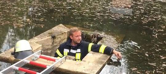 Nettersheim: Feuerwehr rettet 13 Entenküken