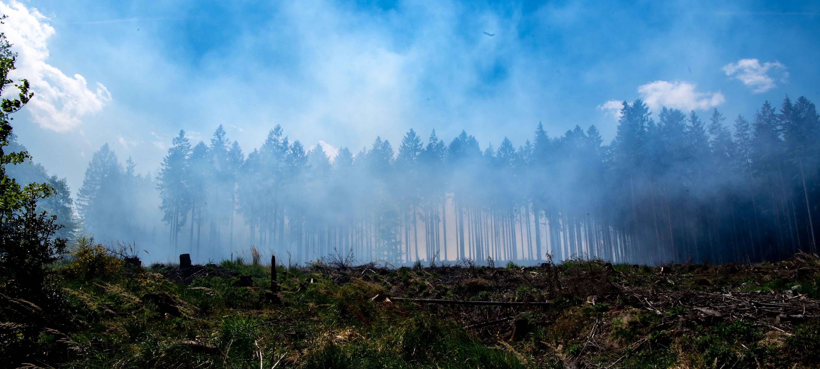 Waldbrandgefahr bei uns steigt
