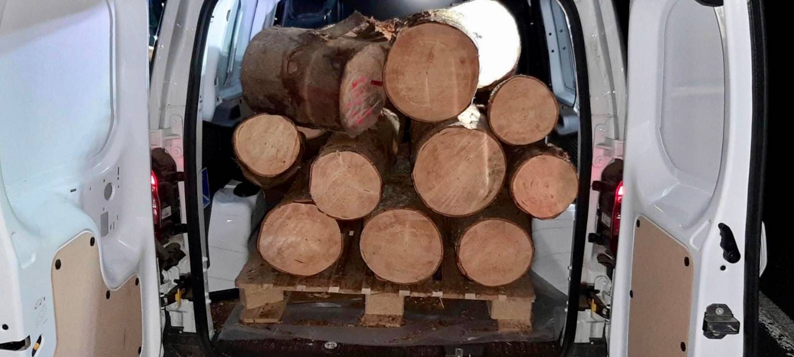 Holz-Dieb in Hellenthal geschnappt