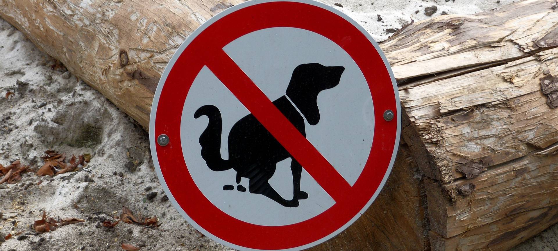 DNA-Register gegen Hundehaufen
