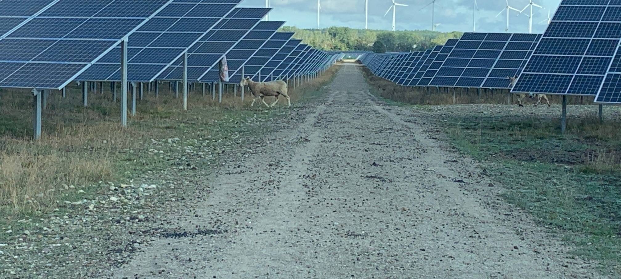 Hellenthal: Kriterienkatalog für Solarstrom beschlossen
