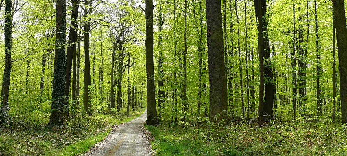 Naturpark Rheinland bekommt neues Besucher-Infosystem