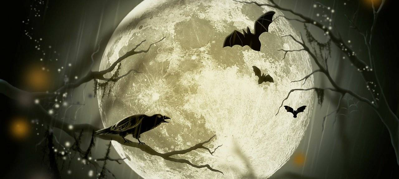 Bilanz: Halloween-Nacht im Kreis Euskirchen "unauffällig"