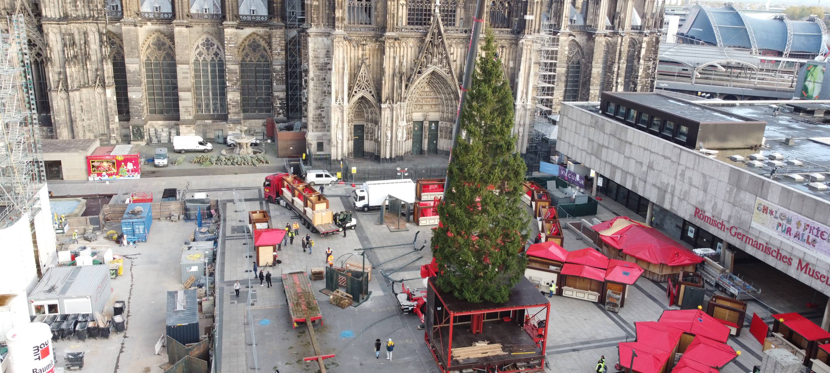 Hollerather Weihnachtsbaum vor dem Kölner Dom aufgebaut