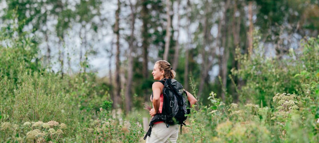 Nordeifel-Tourismus sucht schönsten Wanderweg der Nordeifel