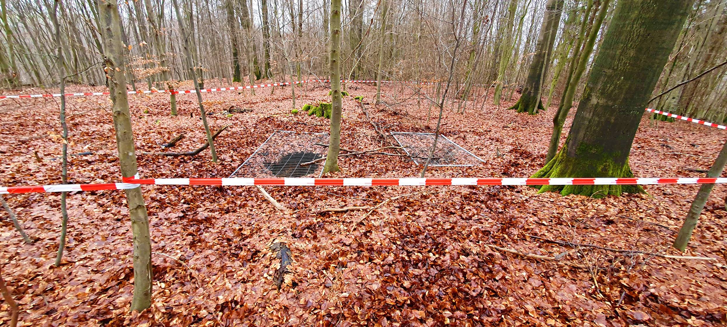 Bergschaden bei Kall im Wald aufgetreten