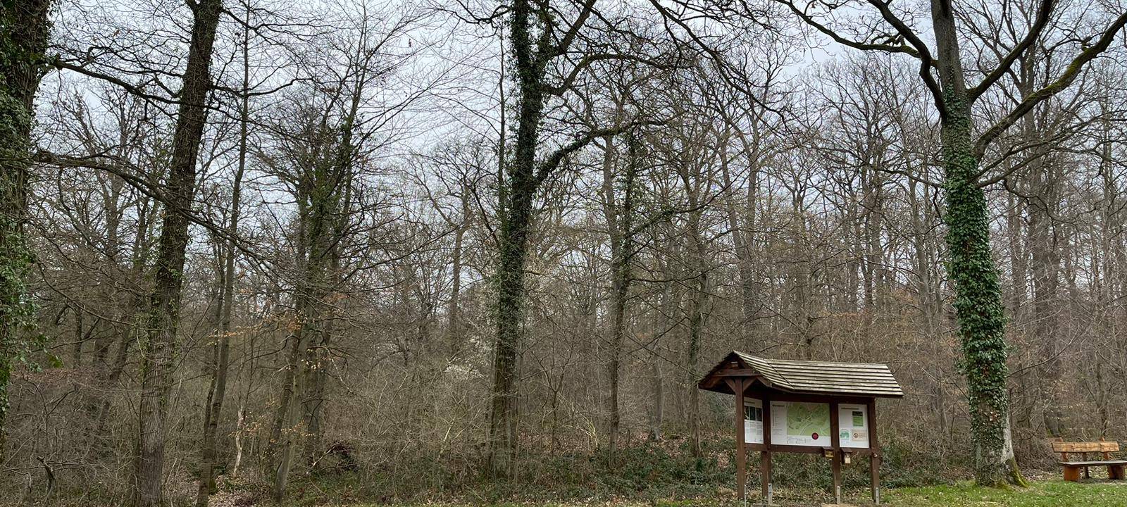 Neuer Friedwald in Euskirchen