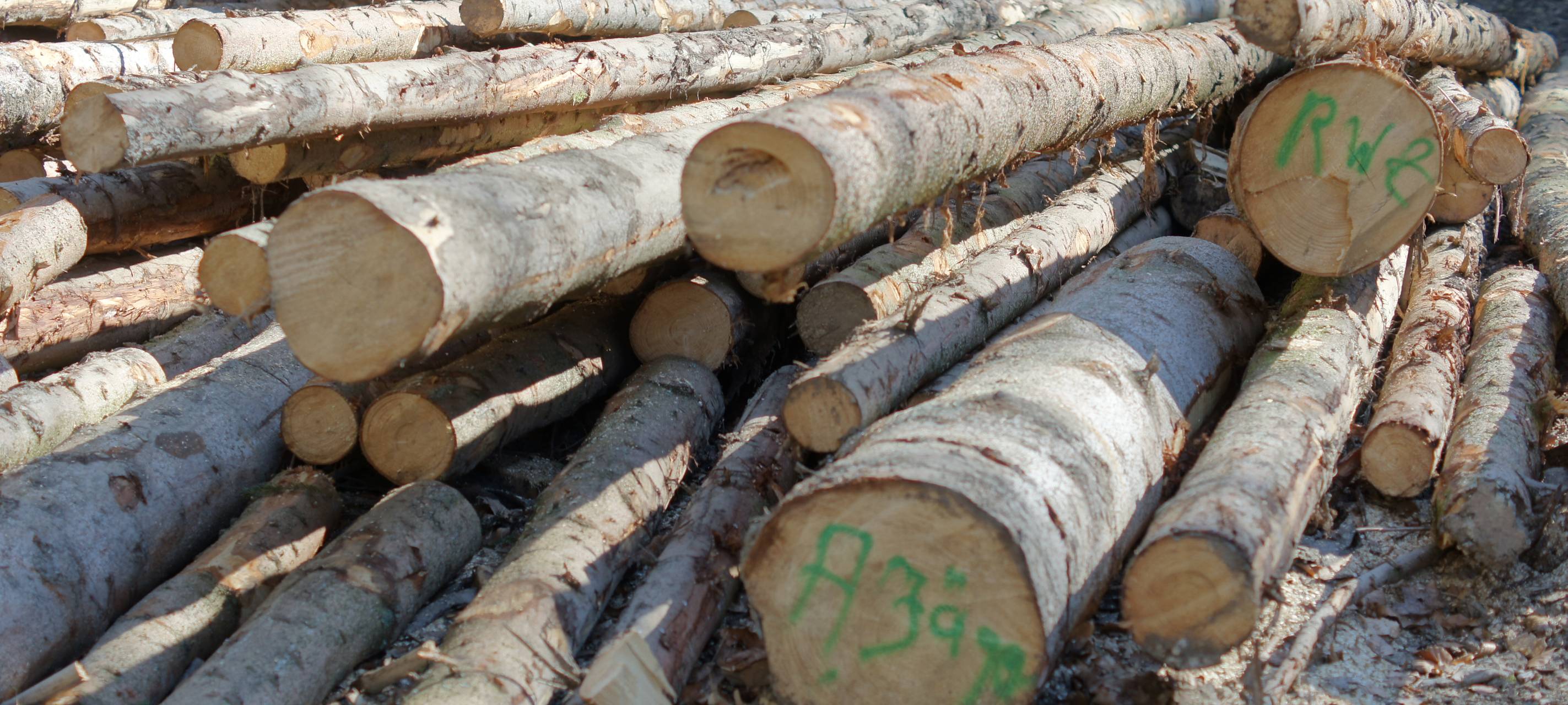 Viele zu schwere Holztransporter in der Eifel