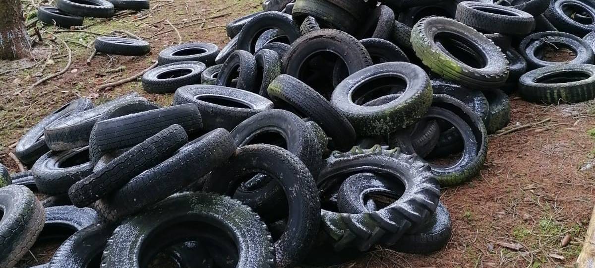 Illegale Mülldeponien im Wald