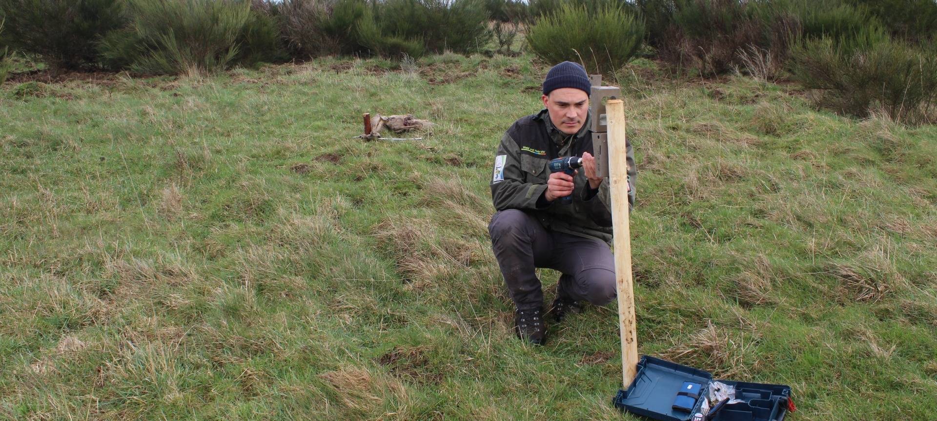 Tierkadaver werden im Nationalpark ausgelegt