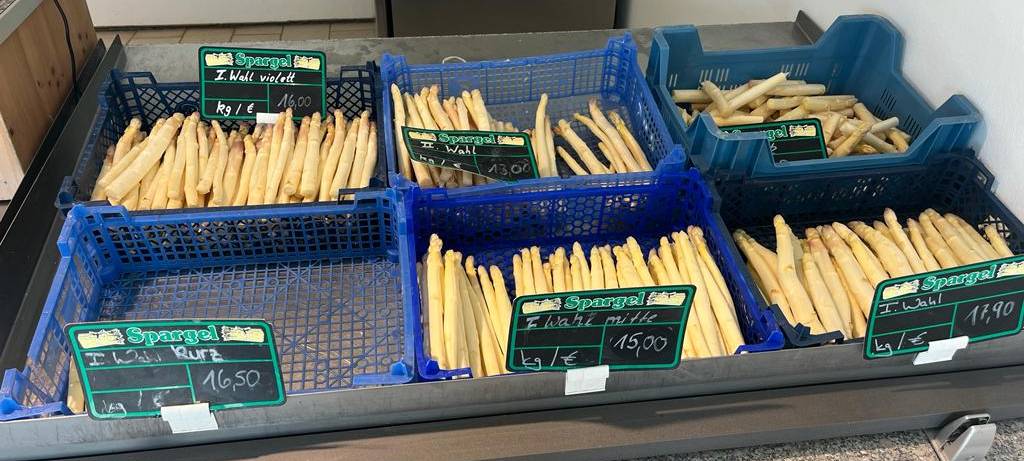 Die Spargelsaison startet