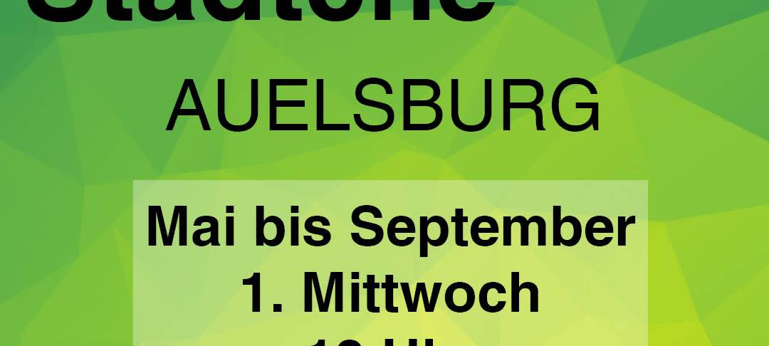 Live-Konzerte an der Auelsburg