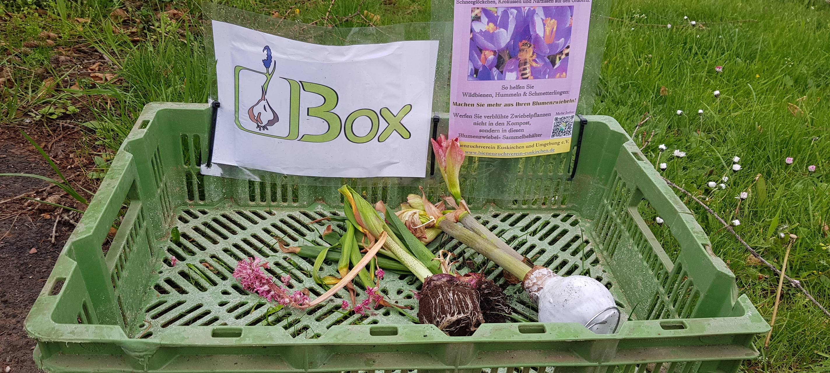Hilfe für Bienen und Hummeln