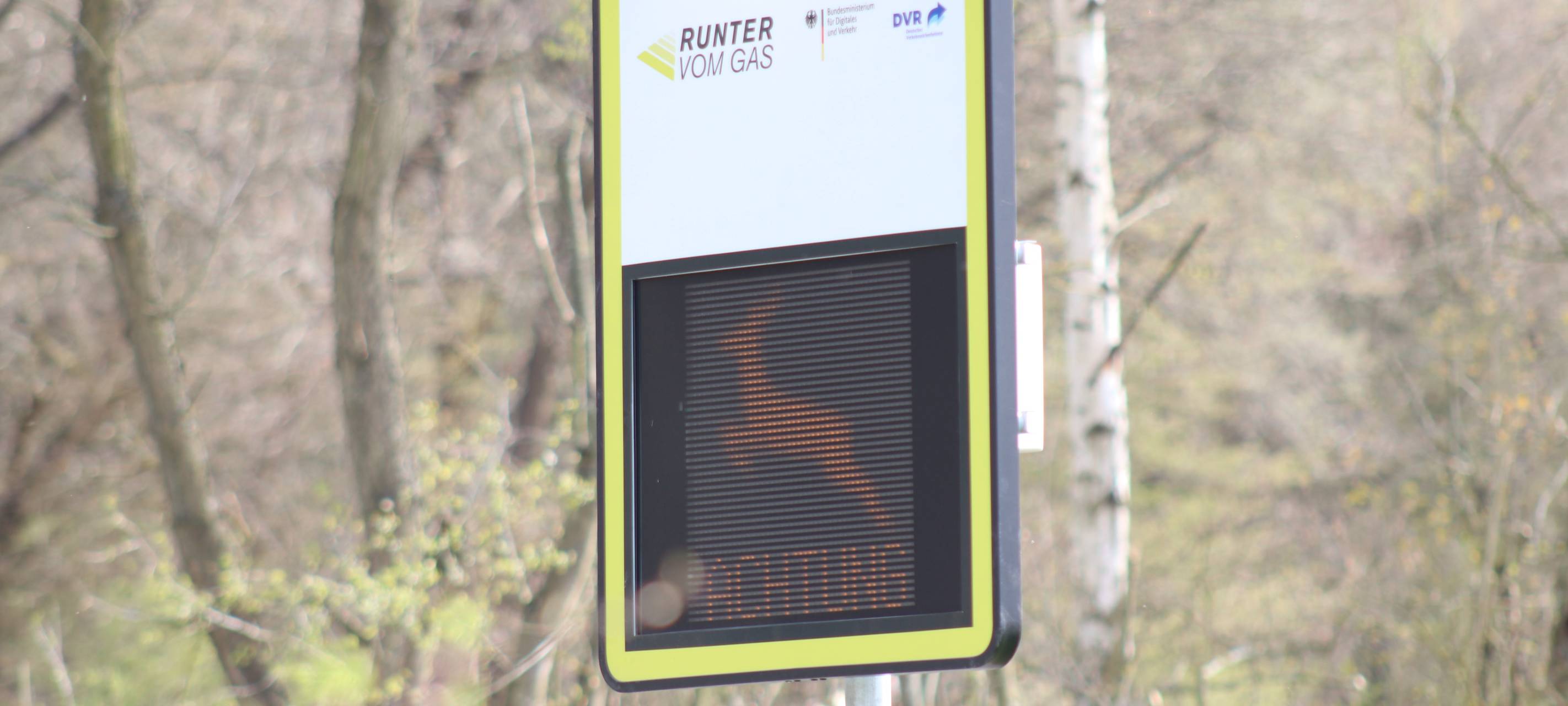 Zülpich: Unfall mit Wild