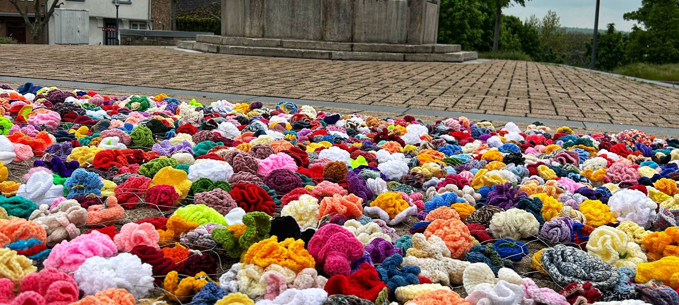 Rosen als Symbol für den Frieden