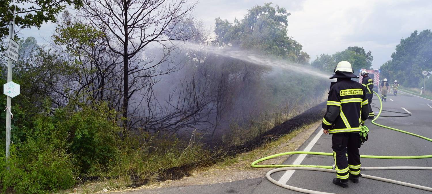 Gartenlaube an Euskirchener Bahnstrecke abgebrannt