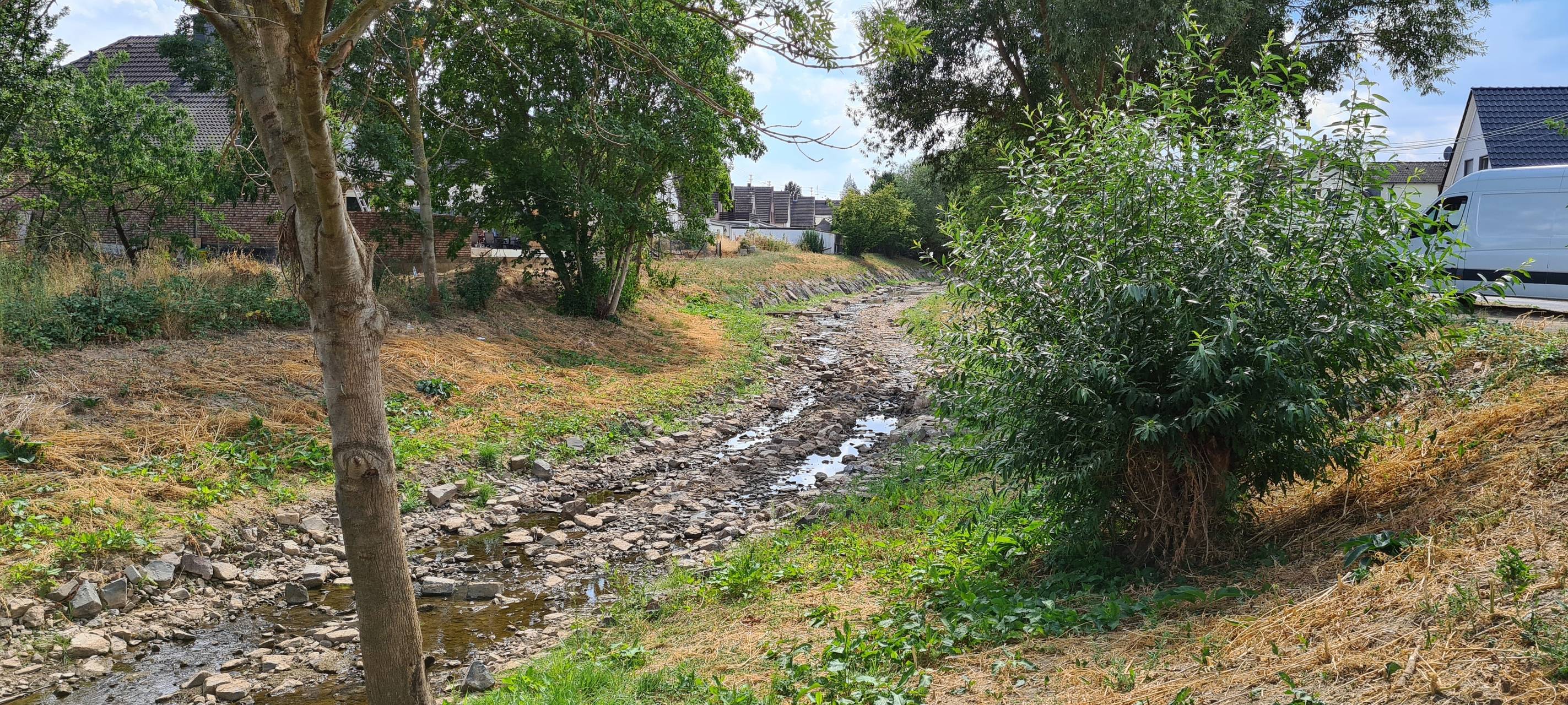 Wenig Wasser in den Bächen