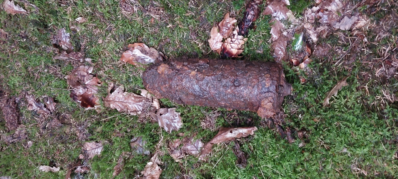 Weltkriegs-Granate bei Nettersheim gefunden