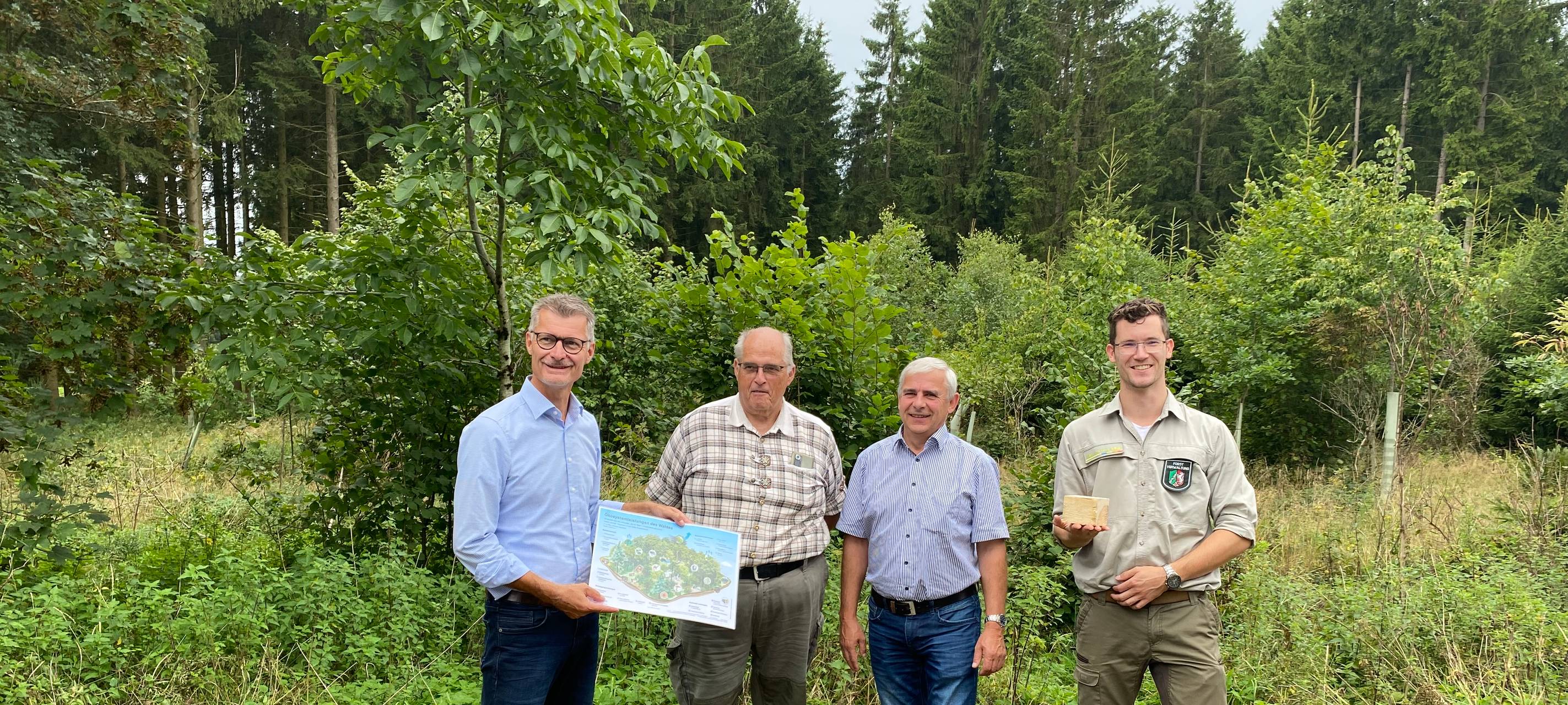 Förderung für Dahlems Wald